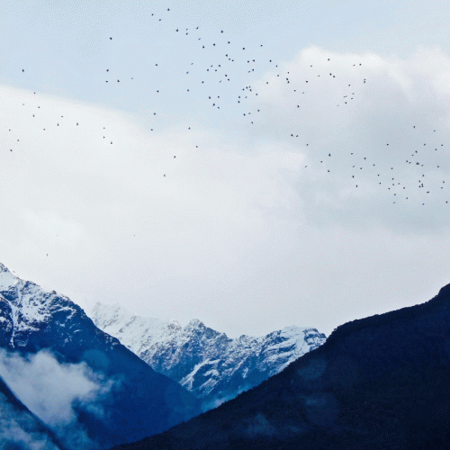 Hunter Forsberg : III: Ovchi Umrumda Değil